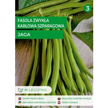 Fasola zwykła szparagowa karłowa zielonostrąkowa Jaga - średnio wczesna Legutko