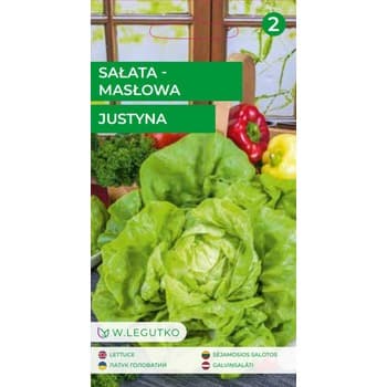 Sałata głowiasta masłowa Justyna 0,75 legutko