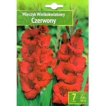 Mieczyk Czerwony Benex