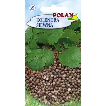 Kolendra Siewna Polan