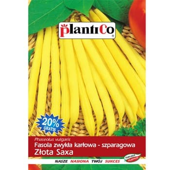 PlantiCo Fasola zwykła karłowa Złota Saxa