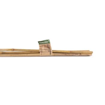 Tyczka ogrodowa bambusowa 150 cm 2szt