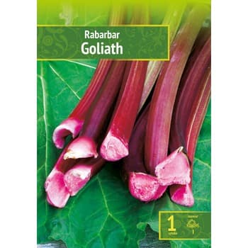 Rabarbar Goliath Wybór "I" 1 Szt.