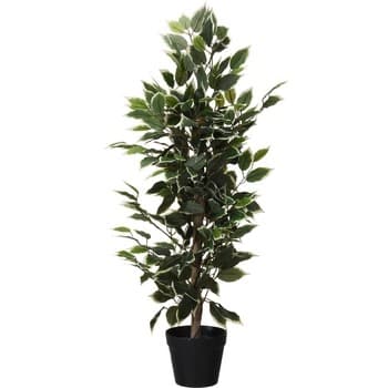 Roślina w donicy 95cm