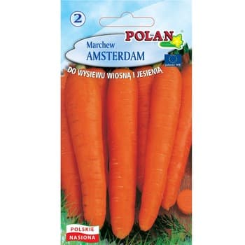 Marchew Amsterdam Polan