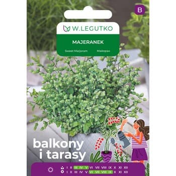 Majeranek/Origanum majorana Legutko