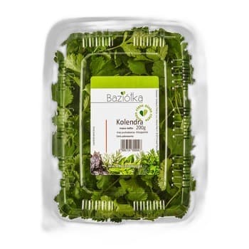 KOLENDRA CIĘTA HISZPANIA 200G BAZIÓŁKA