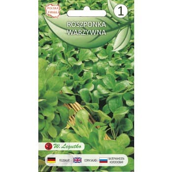 Roszponka warzywna Verte de Cambrai 1,5g Seria bazowa Legutko