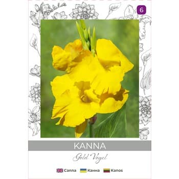 Kanna/Canna x generalis/Gold Vogel/żółte/(I) Legutko