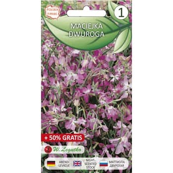 Maciejka dwuroga 1+0,50g Seria bazowa Legutko