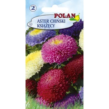 Aster Chiński Książęcy - mieszanka Polan