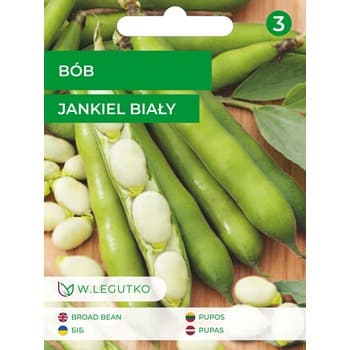 Bób/Vicia faba var. major/Jankiel Biały/ Legutko