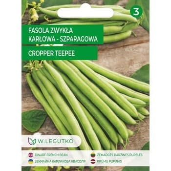 Fasola zwykła/Phaseolus vulgaris var. nanus/Cropper Teepee/zielone/Legutko
