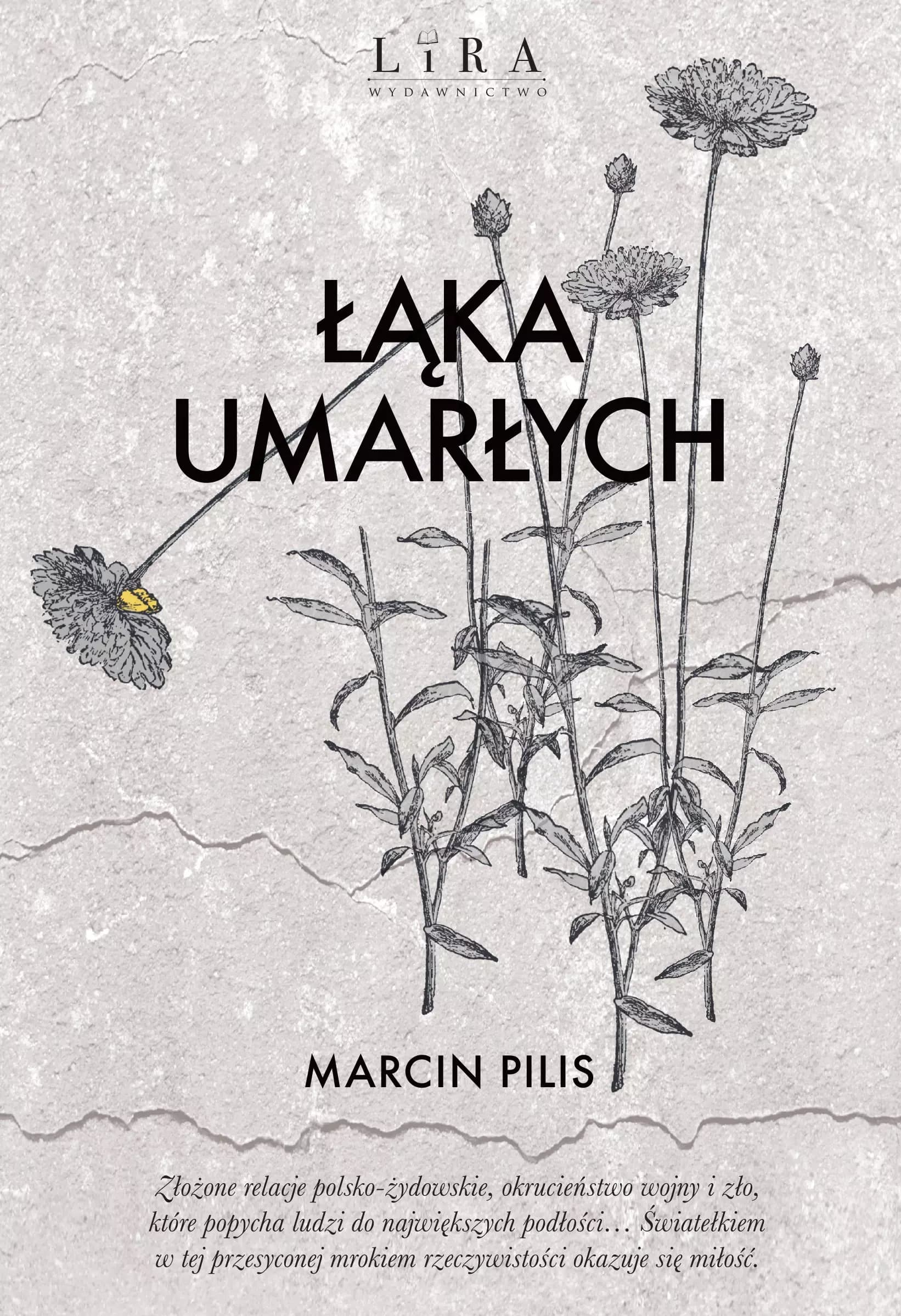 Łąka umarłych - Powieść