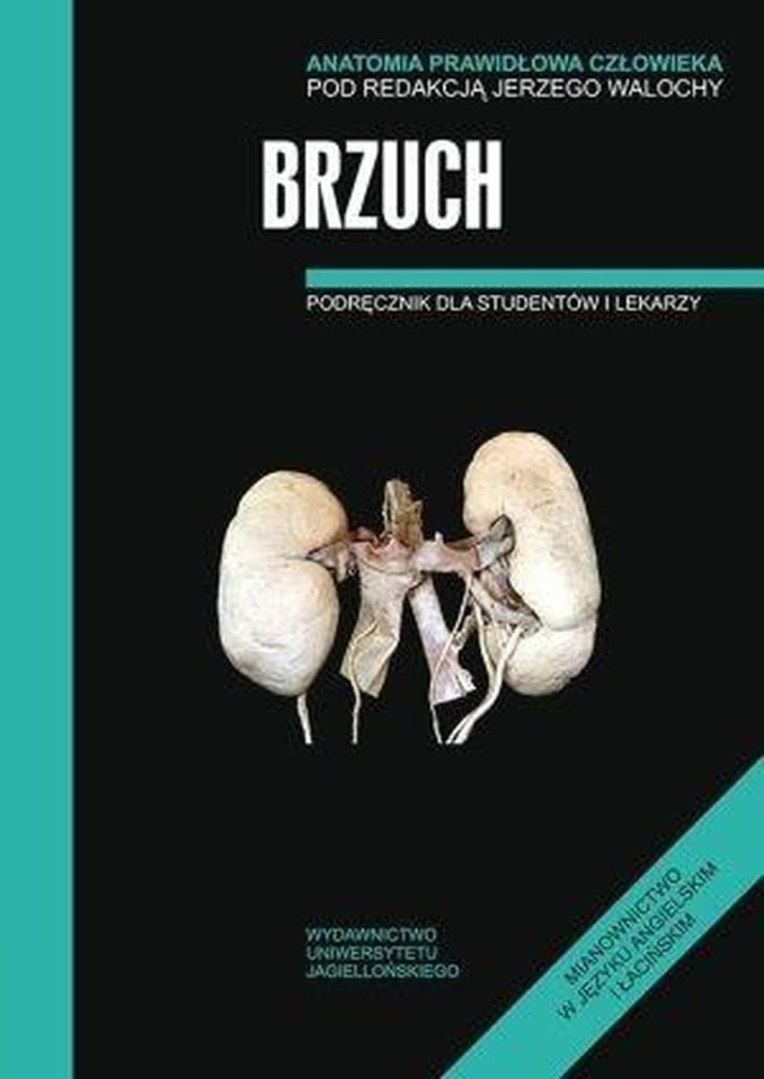 Anatomia prawidłowa człowieka Brzuch podręcznik