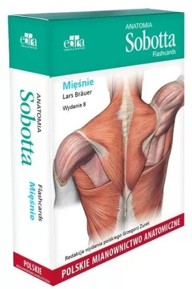 Anatomia Sobotta Flashcards Mięśnie wydanie 8 Lars Brauer