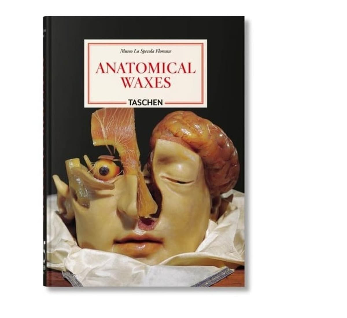 Anatomical Waxes. Wersja angielska