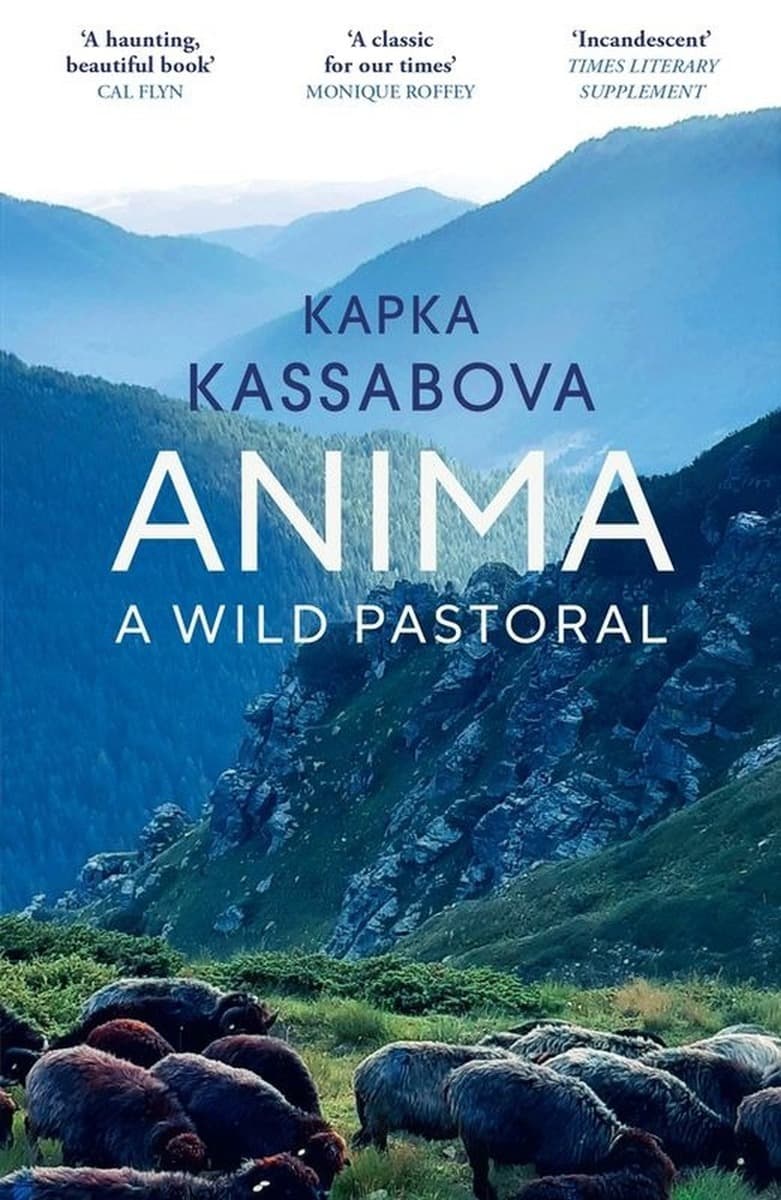 Anima wer. angielska