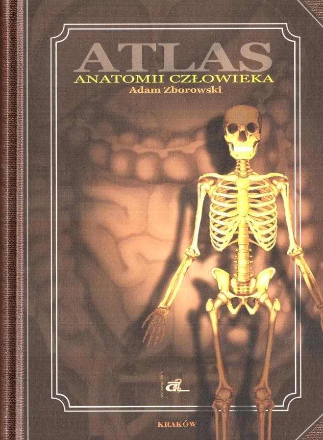 Atlas Anatomii Człowieka Adam Zborowski
