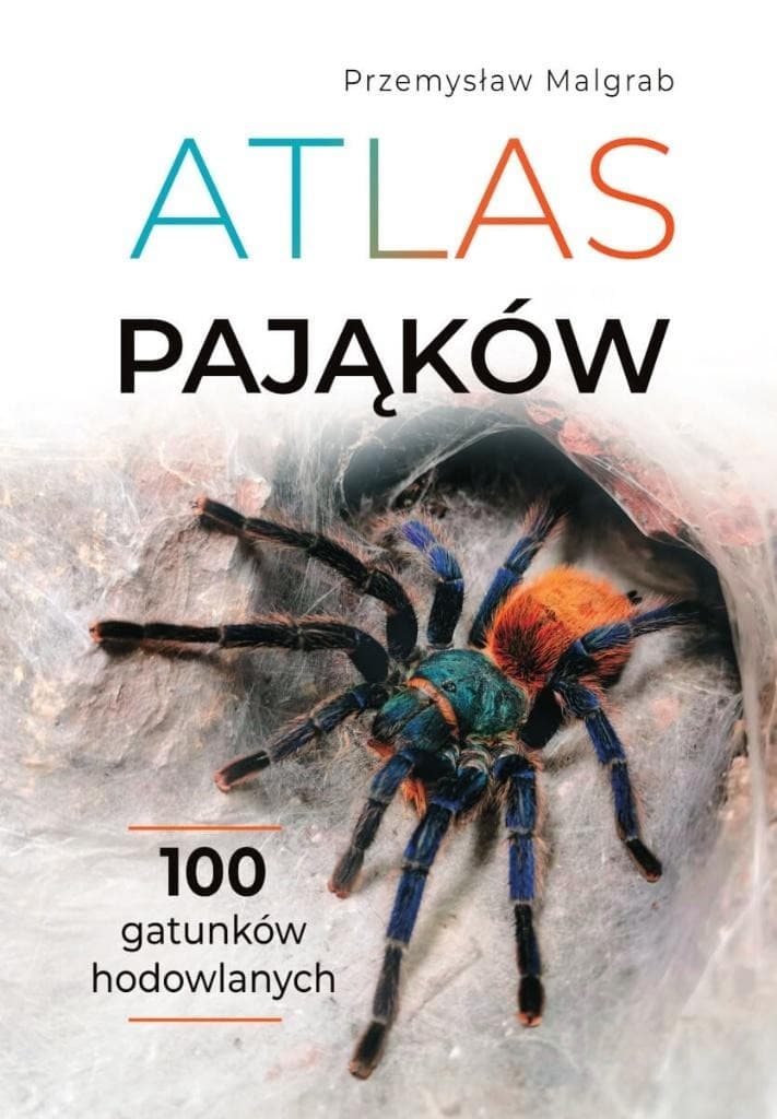 Atlas pająków. Dla miłośników arachnidów