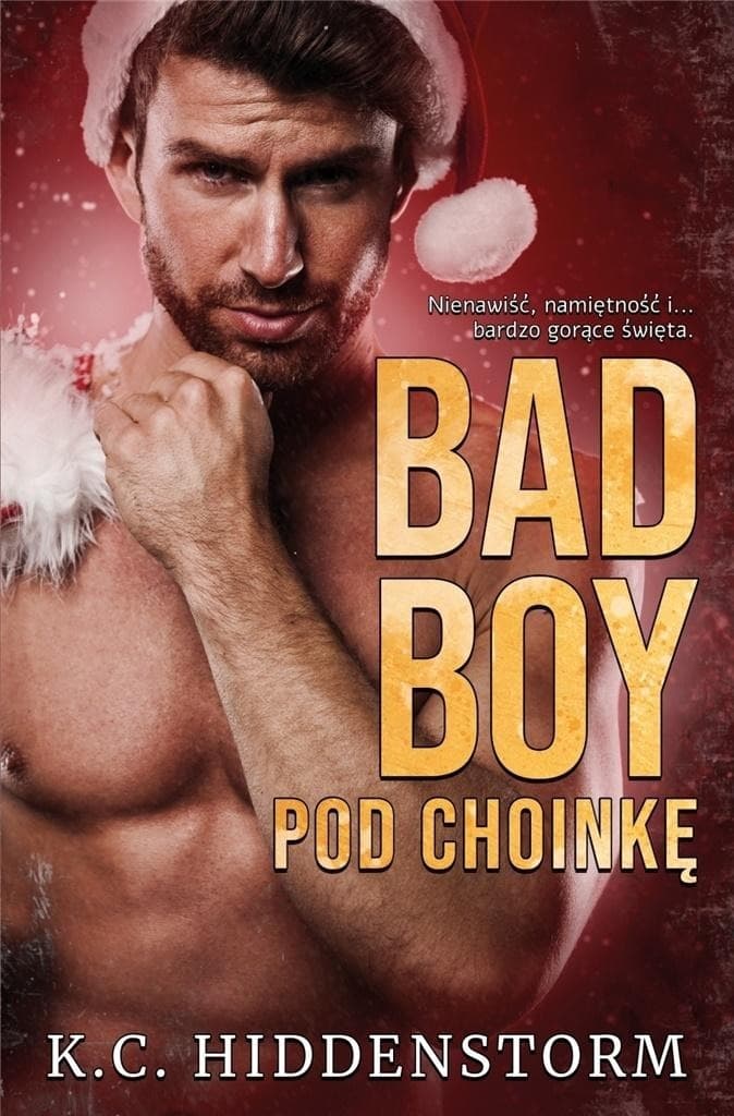 Bad Boy - K.C. Hiddenstorm - powieść obyczajowa
