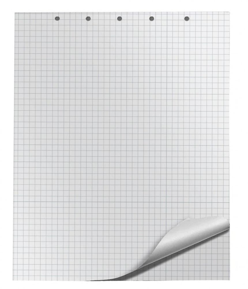 Blok do flipchartów 20 kartek 65 x 100 cm kratka