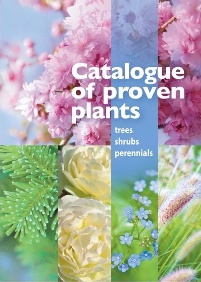 Katalog sprawdzonych roślin - drzewa, krzewy - red. Joanna Filipczak