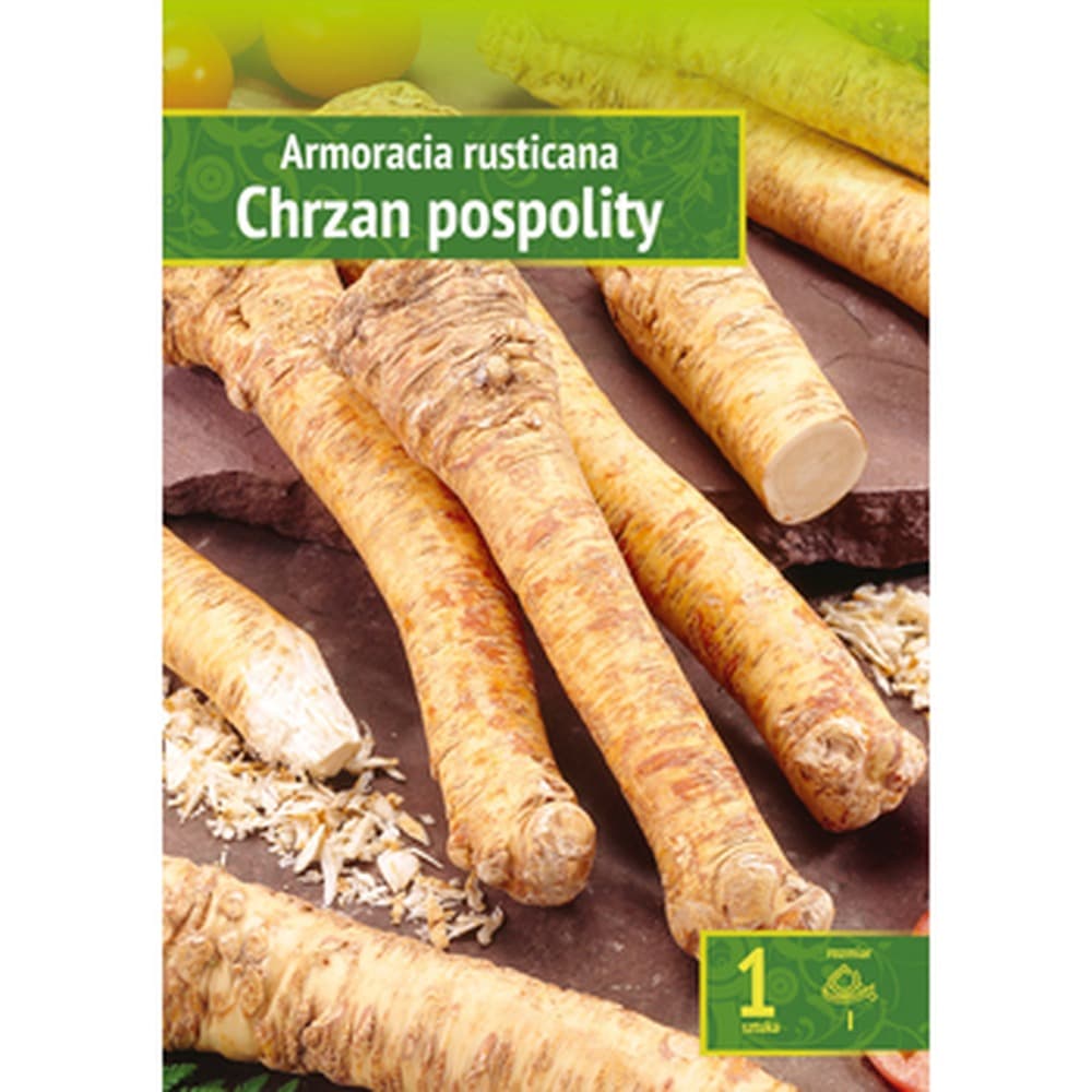 Armoracia Rusticana - Chrzan Pospolity Wybór "I" 1 Szt.
