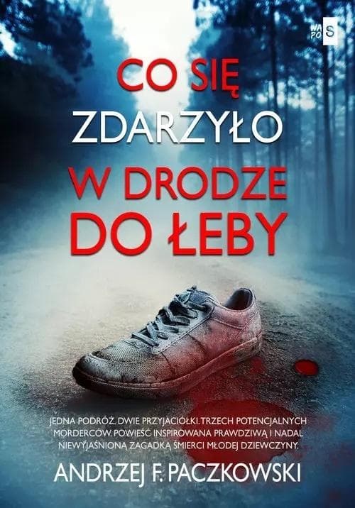 Co się zdarzyło w drodze do Łeby - Andrzej F. Paczkowski - powieść