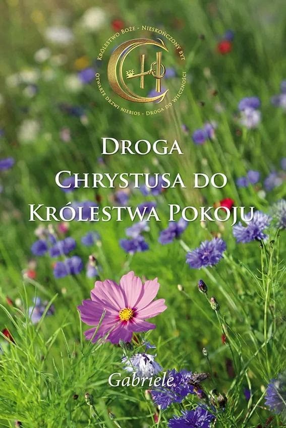Droga Chrystusa do Królestwa Pokoju - Gabriele - książka
