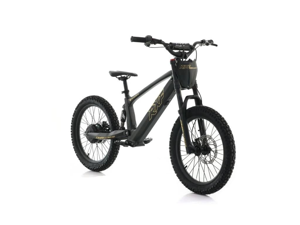 Dziecięcy motocykl elektryczny Energy Adventure Push 20 Pro Racing