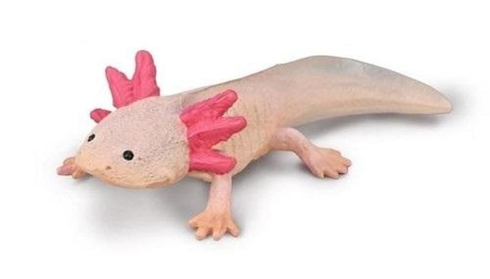Figurka kolekcjonerska Collecta Aksolotl