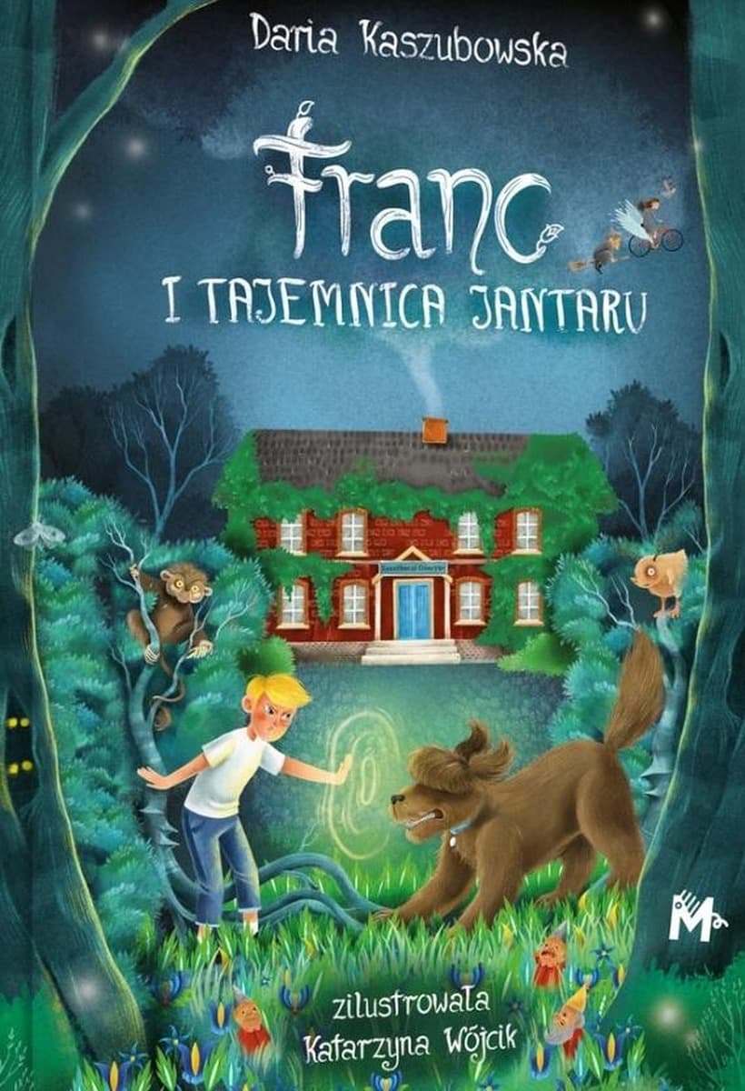 Franc i tajemnica Jantaru - powieść dla młodzieży
