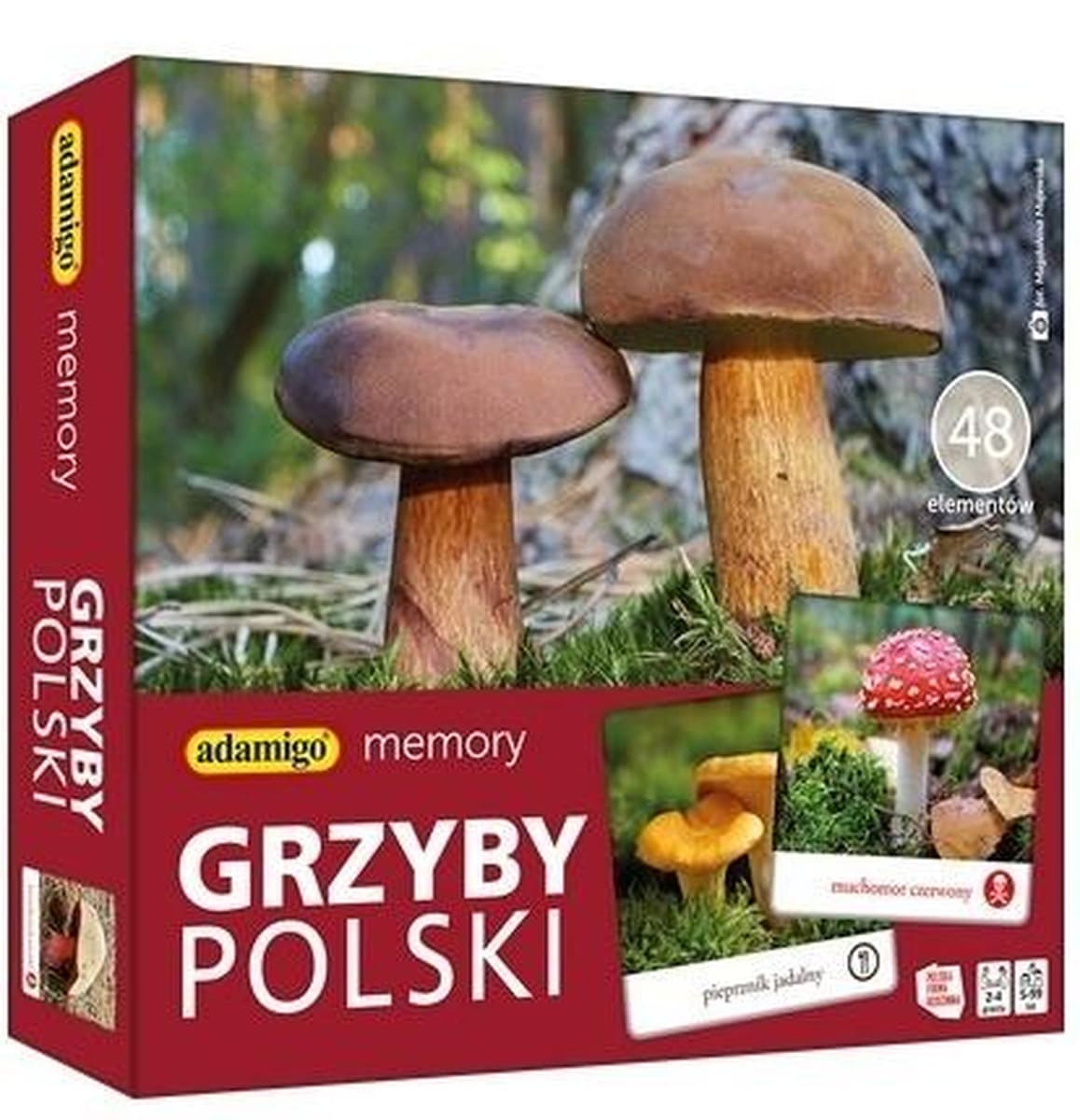 Gra Memory Grzyby Polski Adamigo
