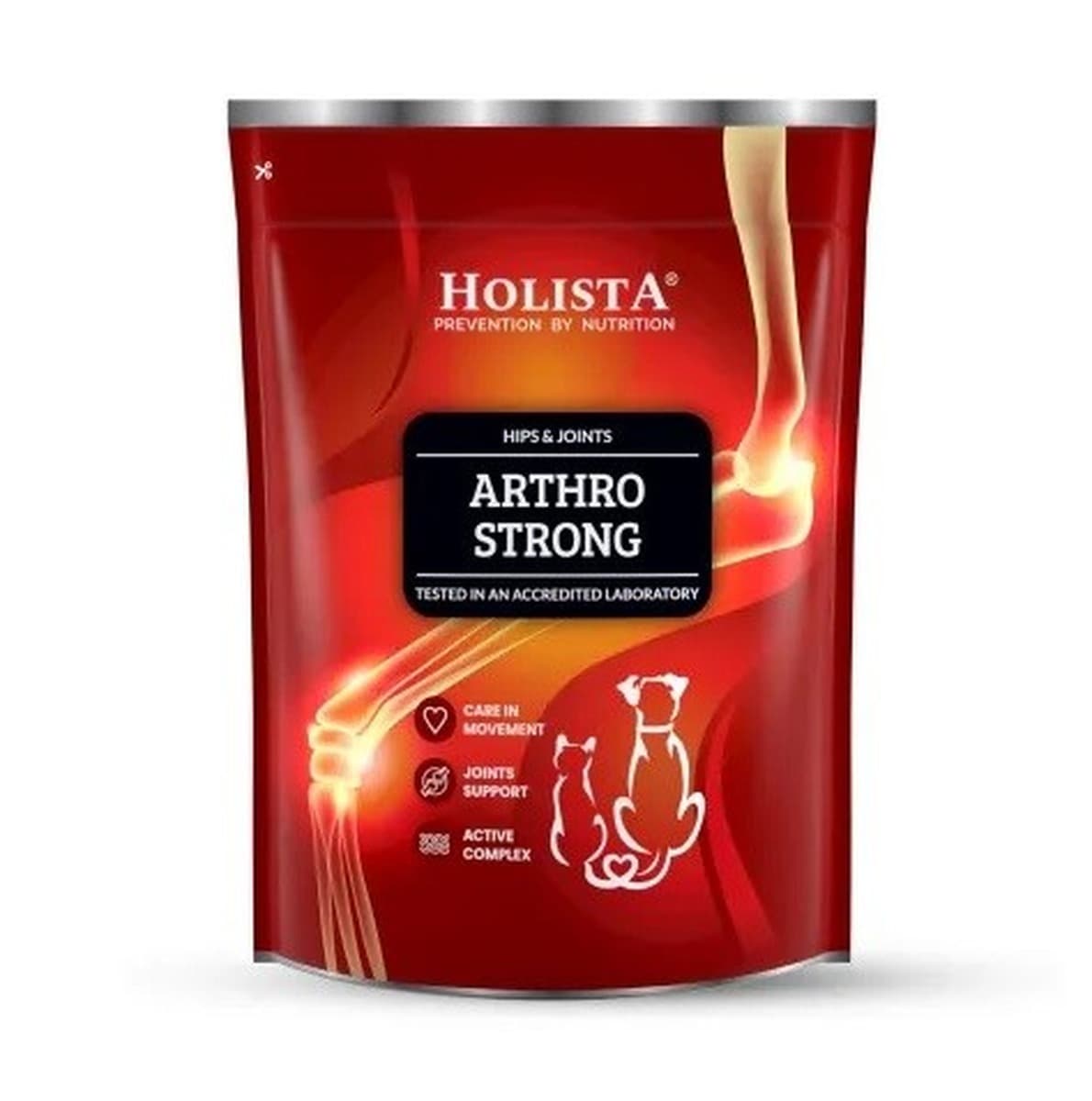 Holista Arthro Strong suplement diety wspierający stawy 600 g