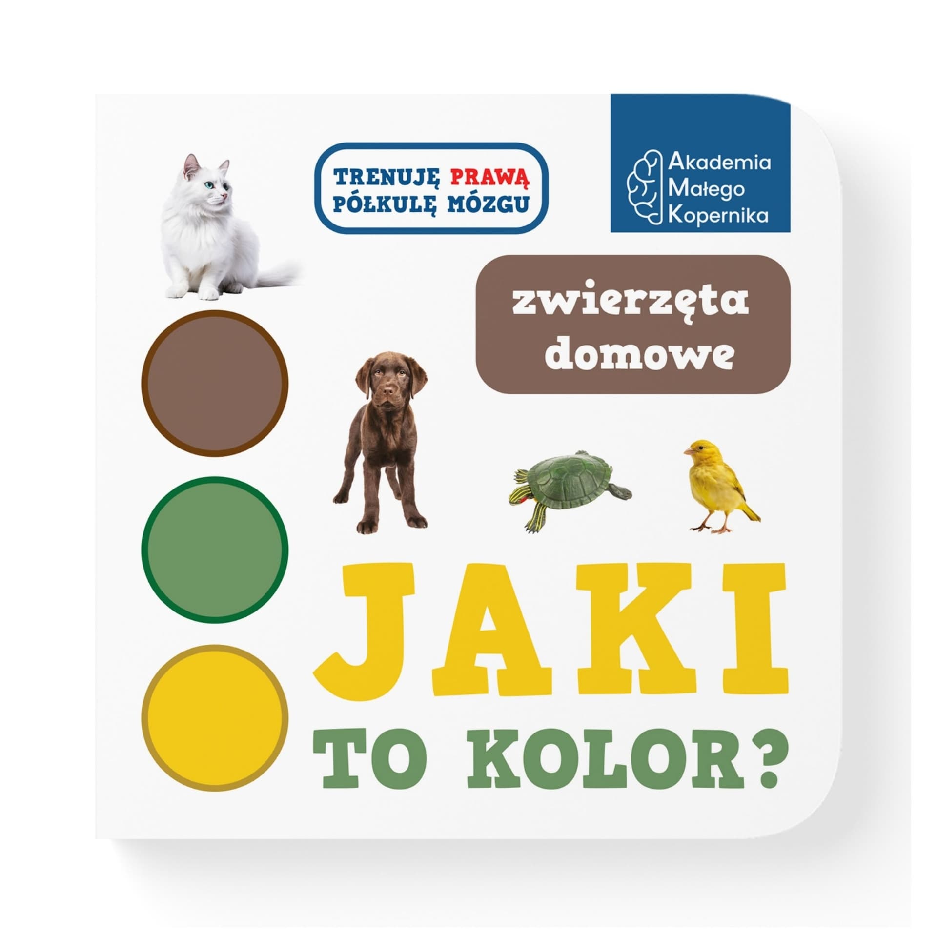 Jaki to kolor? Zwierzęta domowe
