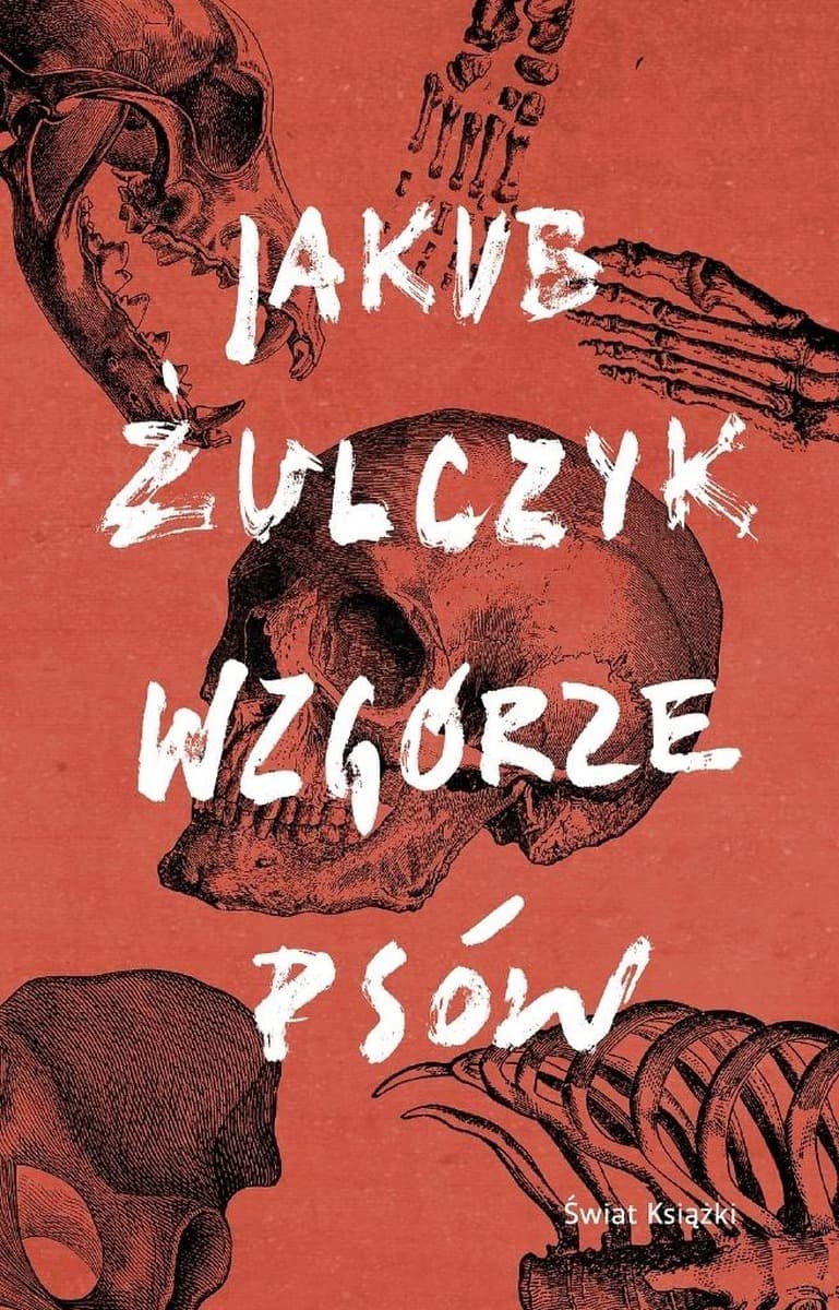 Jakub Żulczyk Powieść Wciągający Thriller o Mrocznej Stronie Prowincji