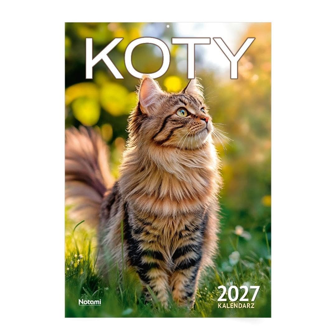 Kalendarz ścienny 2027 A4 Koty 16 stron Notami