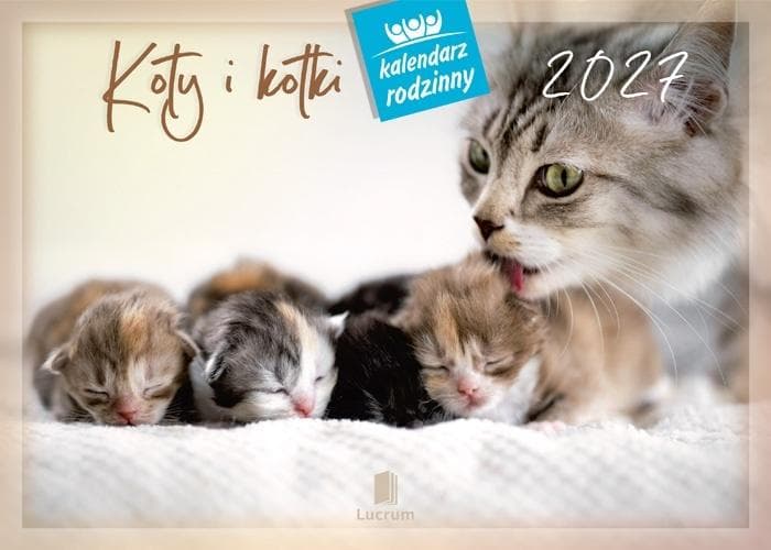 Kalendarz ścienny 2027 Koty i kotki format 28 x 20 cm
