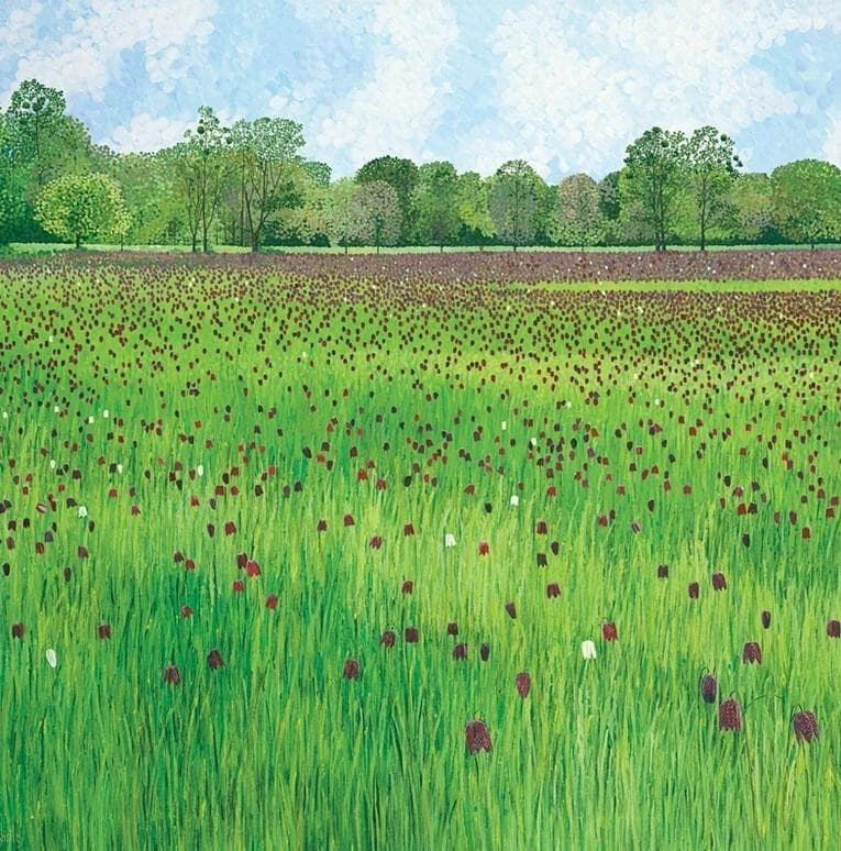Karnet z kopertą Łąka szachownic 160x160 mm