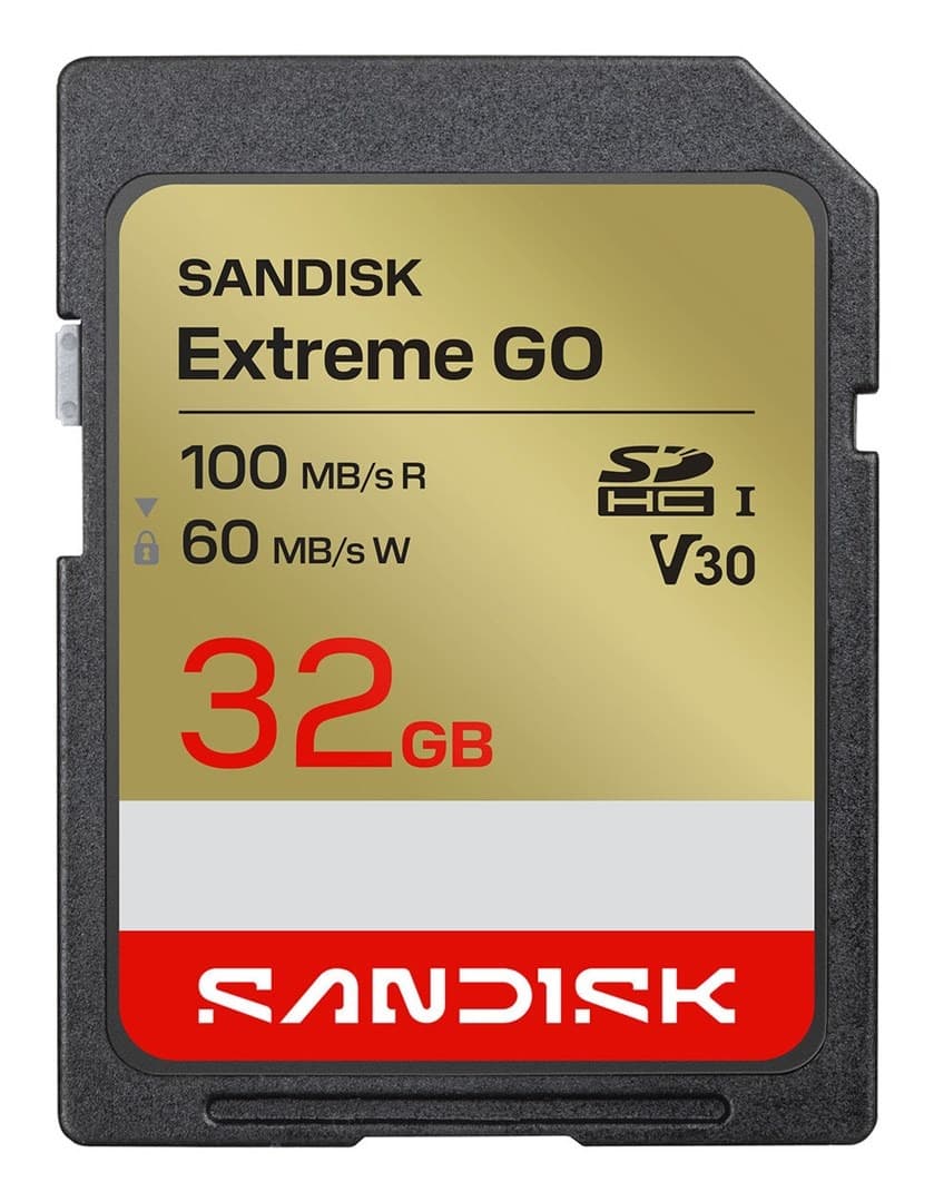Karta pamięci SanDisk Extreme Go SDHC UHS-I 32 GB 100 MB/s