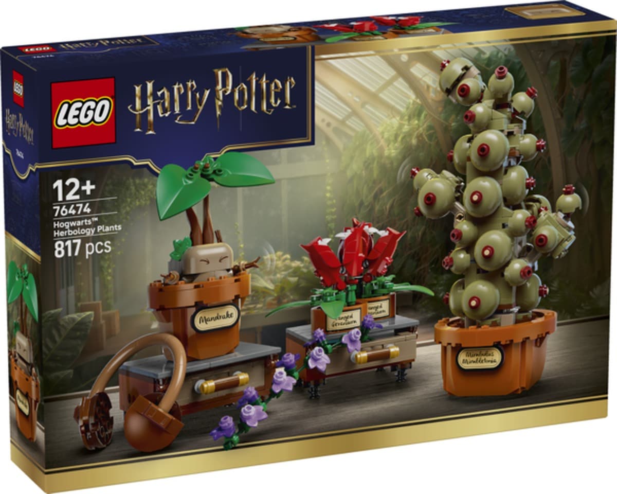 Klocki LEGO Harry Potter 76474 - Zamek Hogwart