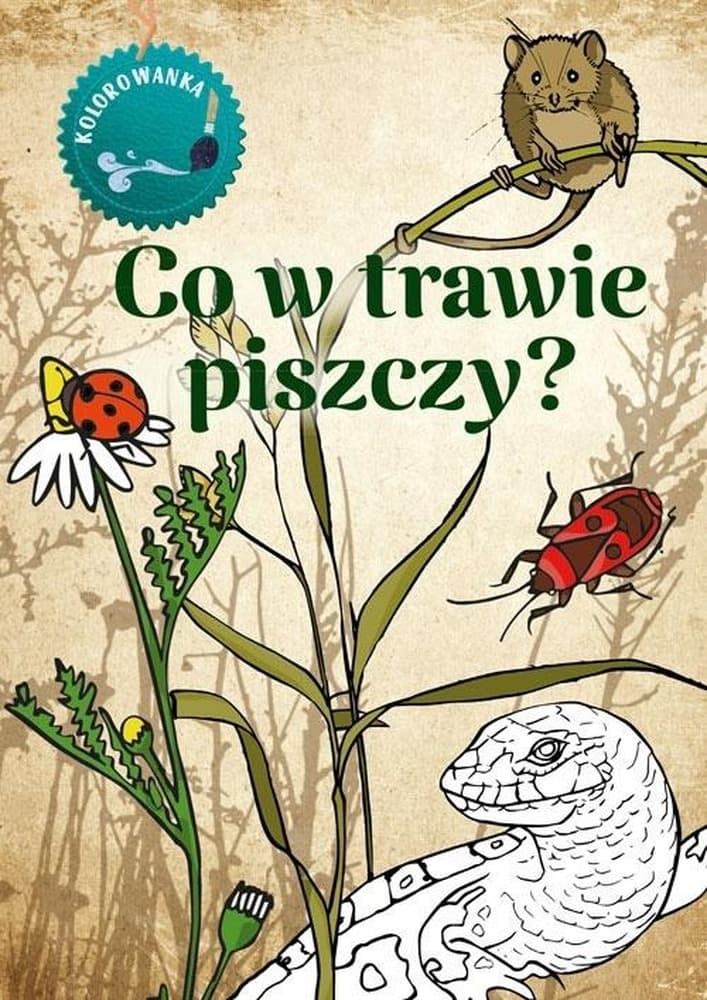 Kolorowanka dla dzieci Co w Trawie Piszczy Katarzyna Kopiec Sekieta