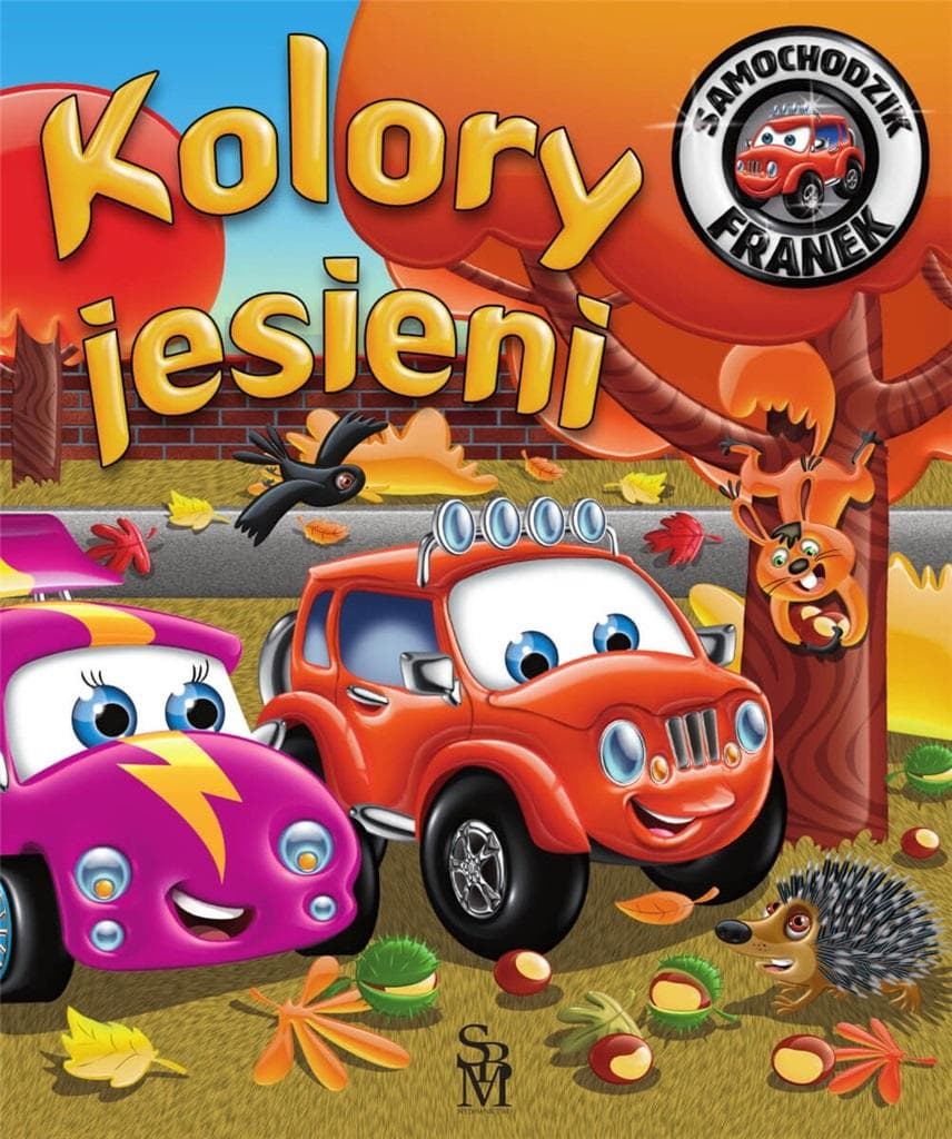 Książka dla Dzieci Samochodzik Franek Kolorowa Książeczka