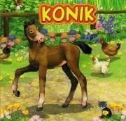 Kolorowa książeczka o przygodach konika dla dzieci