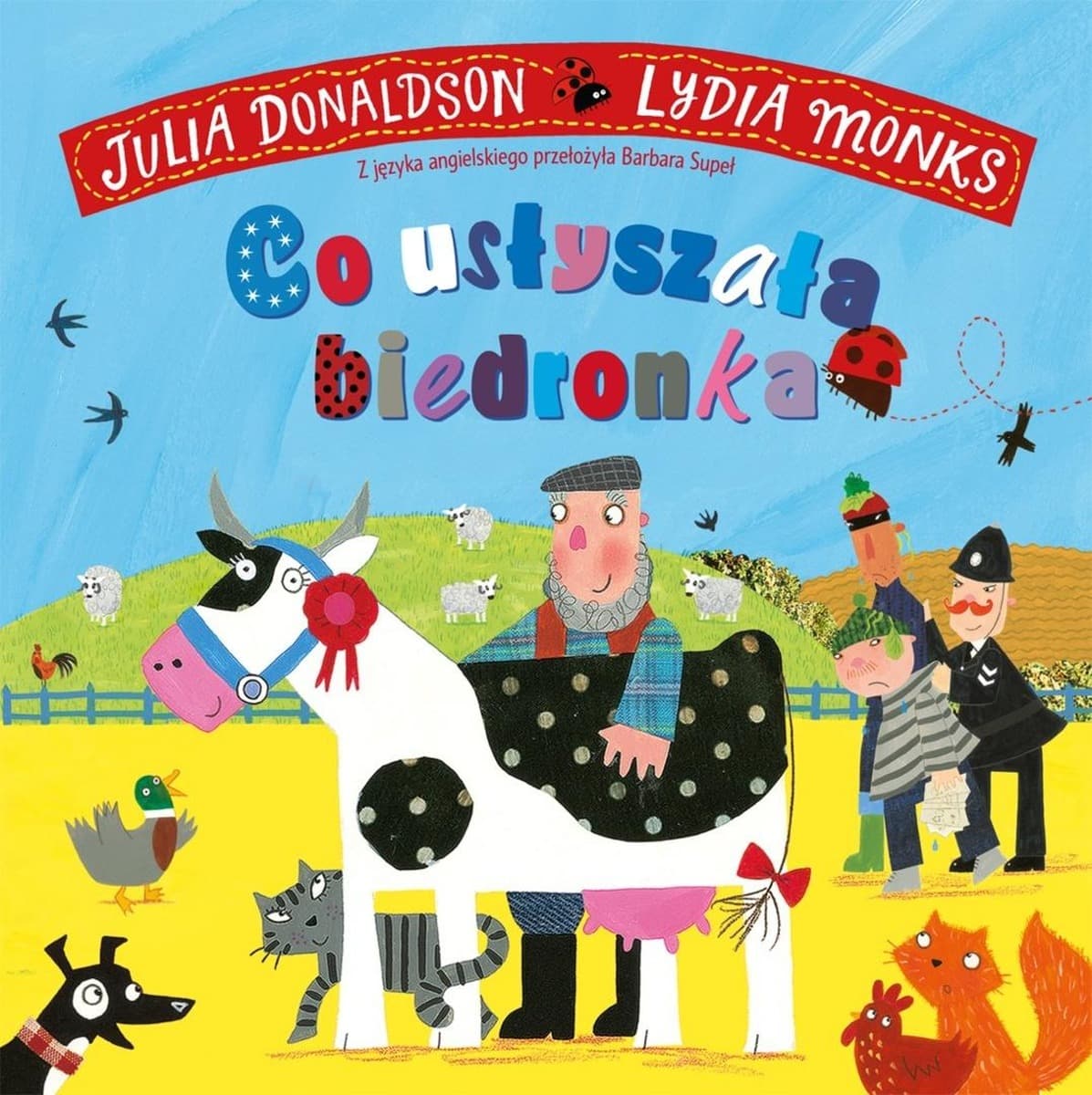 Książka dla dzieci Co usłyszała biedronka 32 strony