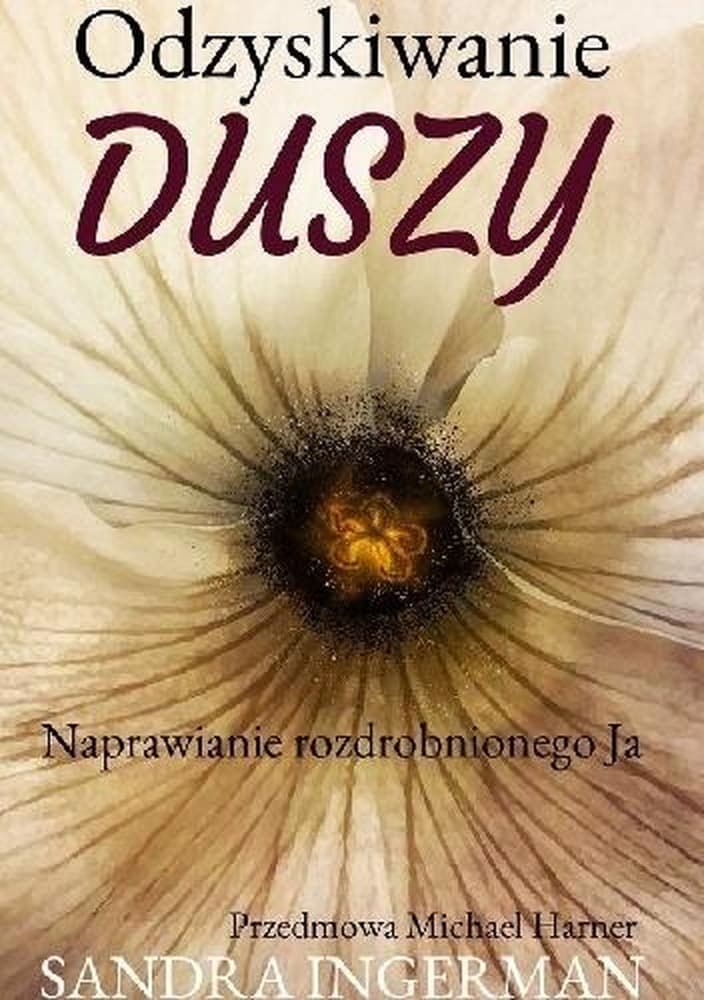 Książka Odzyskiwanie duszy Sandra Ingerman New Space
