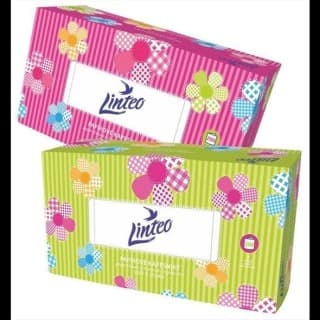 Linteo chusteczki higieniczne 2-warstwowe A200 sztuk