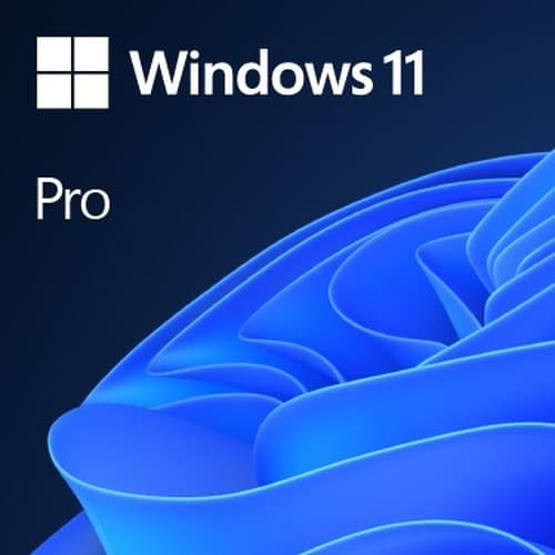 MS Windows 11 Professional 64-bit wersja OEM na DVD