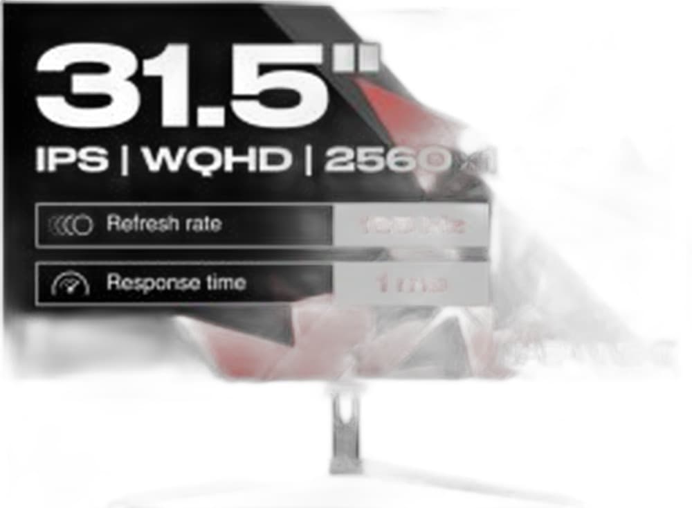 Monitor JAPANNEXT 31.5" WQHD 165Hz IPS HDMI/DP